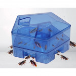 [HC211] 5 Doors Cockroach Insect Bug Box House Trap Killer Catcher Tool