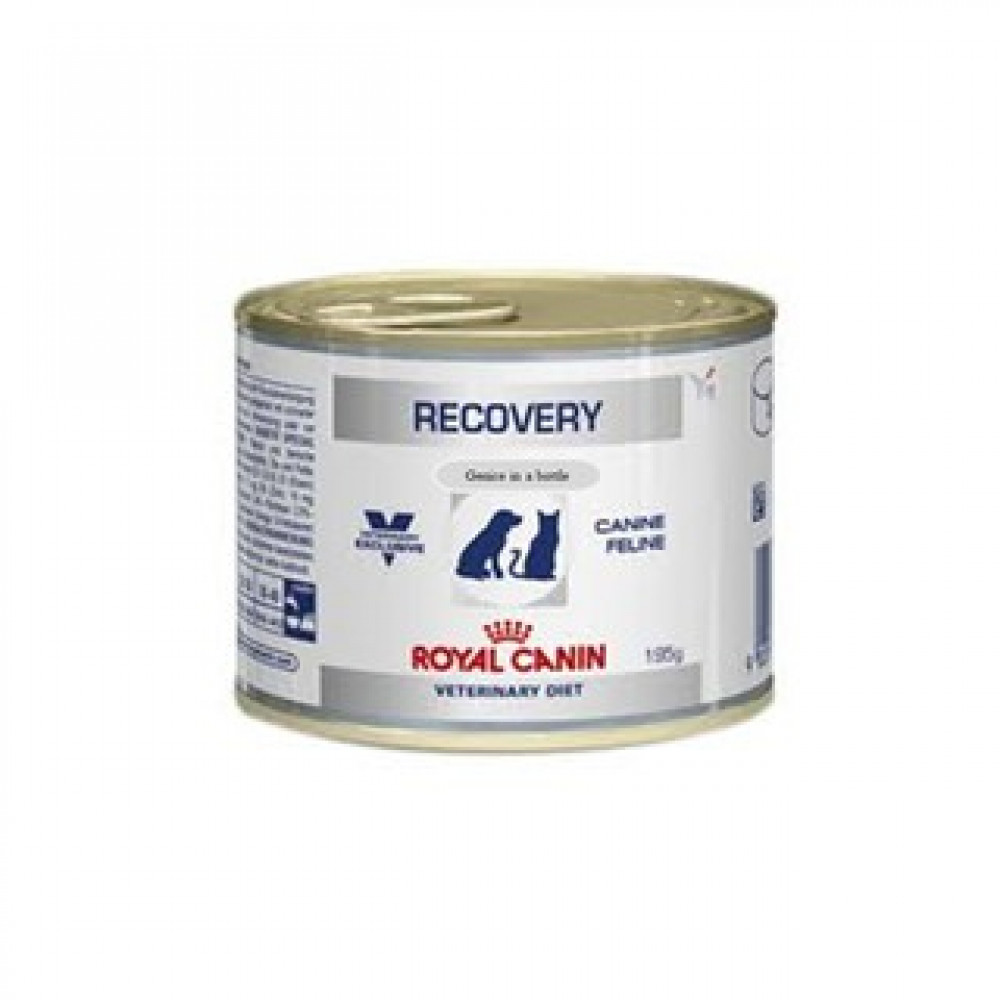 royal canin recovery canned cat food