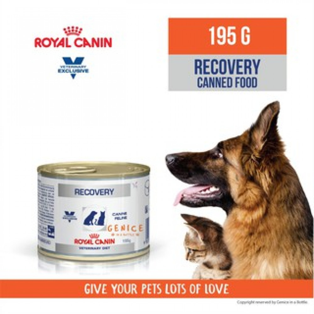 Royal Canin Recovery Canine & Feline / canned food for cats & dogs  195g